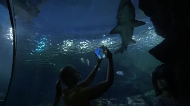 Woman with touch pad shooting shark in oceanarium — Stockvideo