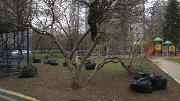 Garçon escalade arbre dans la cour de la maison, vue aérienne — Video