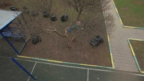 Foto aérea de un niño trepando al árbol en el patio — Vídeo de stock