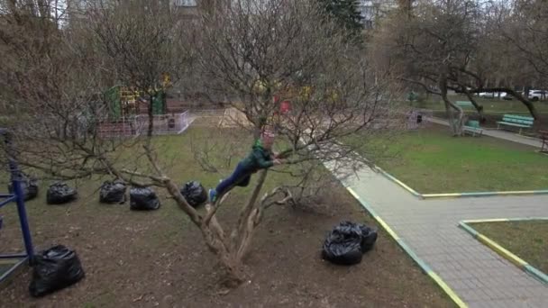 Πετώντας πάνω από το παιδί σχετικά με το δέντρο στην αυλή του σπιτιού — Αρχείο Βίντεο