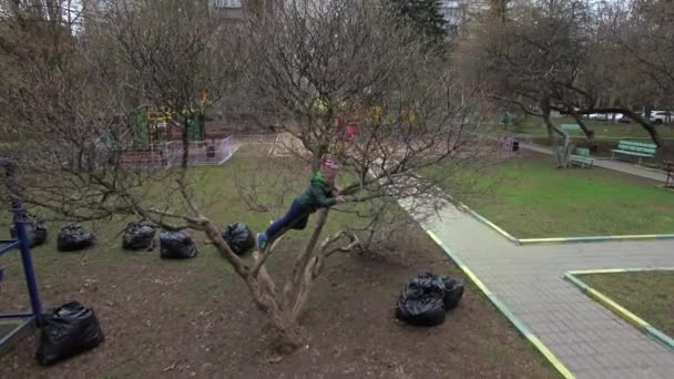 孩子在家里的院子里树上飞越 — 图库视频影像