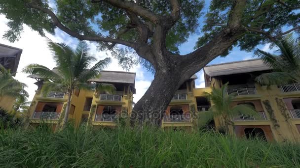 Hotell och träd på tropical resort — Stockvideo