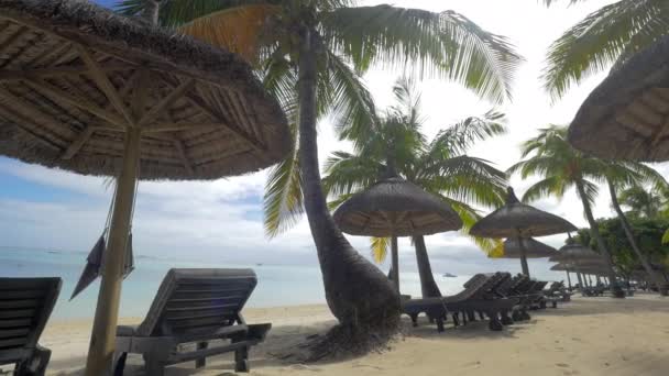 Estância de verão na costa em trópicos — Vídeo de Stock