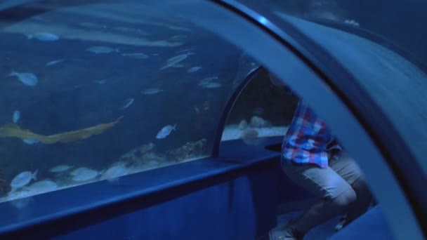 Oceanarium su tünelde yürüyen çocuk — Stok video
