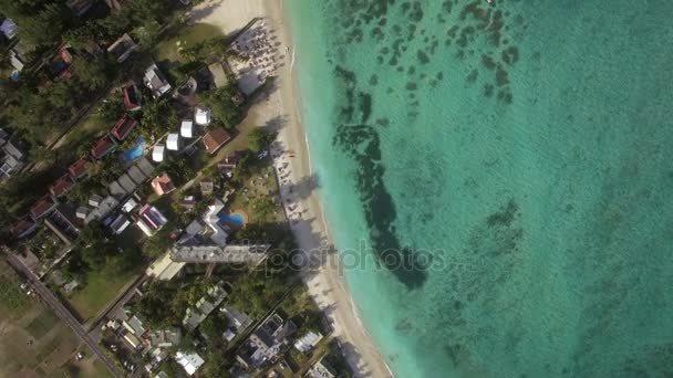 Aerial view of coast and family bathing in ocean — Stock Video