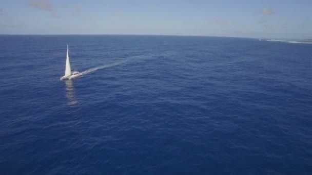 Aerial view of yacht sailing in sea or ocean — Stock Video