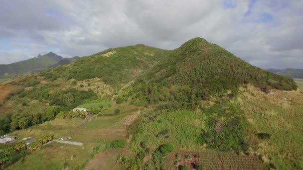 Flygplats scen av gröna Mauritius fastlandet — Stockvideo