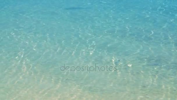 Clear blue coastal water — Stock Video