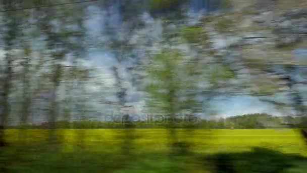 查看从骑乘火车窗外的农村风景反对多云的天空 — 图库视频影像