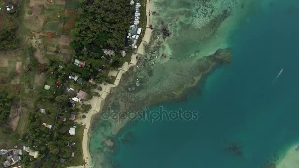 Vista aérea de aves de costa con playa de arena y agua transparente del Océano Índico, Isla Mauricio — Vídeo de stock