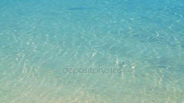 Águas costeiras azuis claras — Vídeo de Stock