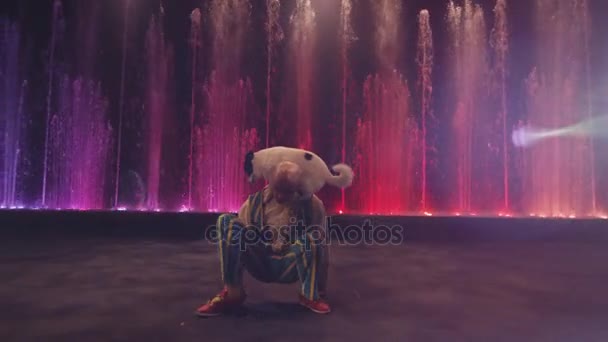 View of circus acrobatic act with clown and dog, Moscow, Russia — Stock Video