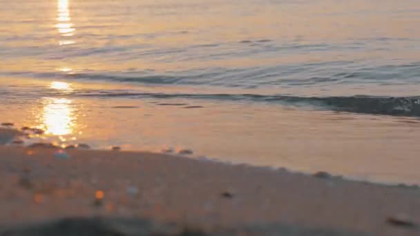 Tenger hullámai gördülő partján naplementében — Stock videók
