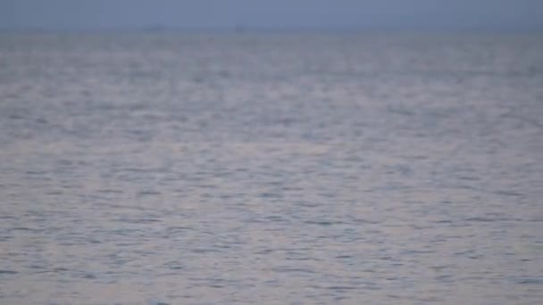 Зйомки 360 градусів морської сцени — стокове відео