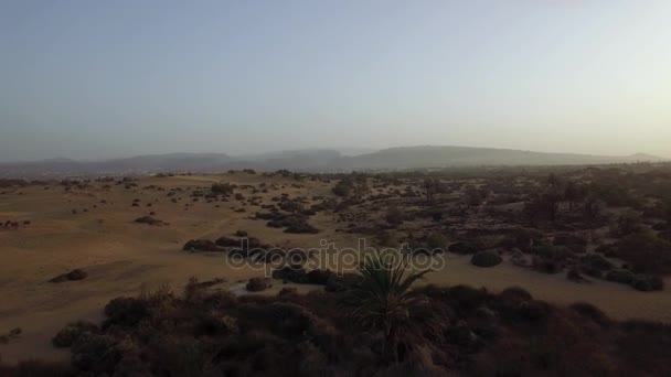 沙质救济与灌木丛飞越 — 图库视频影像