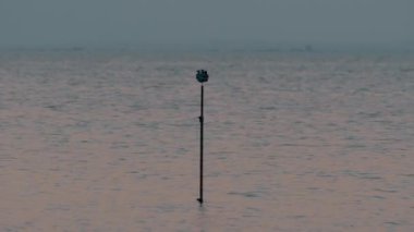 360 derece deniz sahne çekim kameralar ile tripod