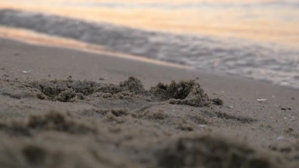 Sand and sea waves at sunset — Stock Video