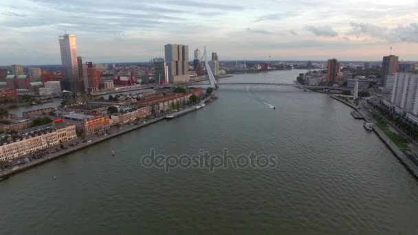 Vista aérea de Rotterdam con el río y el puente Erasmus — Vídeos de Stock