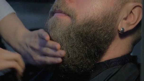 Borstning skägg i barbershop — Stockvideo