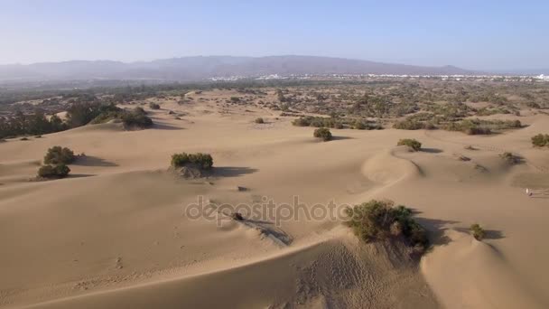 Воздушный пейзаж с песком и растениями — стоковое видео