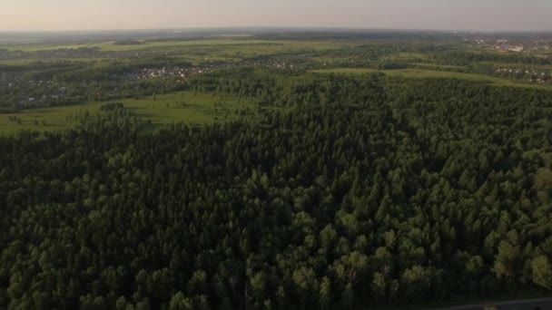 Εναέρια πτήση πάνω από το τεράστιο πράσινο δάσος, Ρωσία — Αρχείο Βίντεο