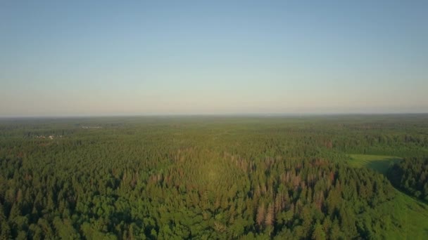 ロシアの広大な緑の森上空 — ストック動画
