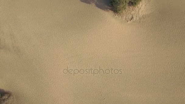 Flug über Sand zum Ozean, Gran Canaria — Stockvideo