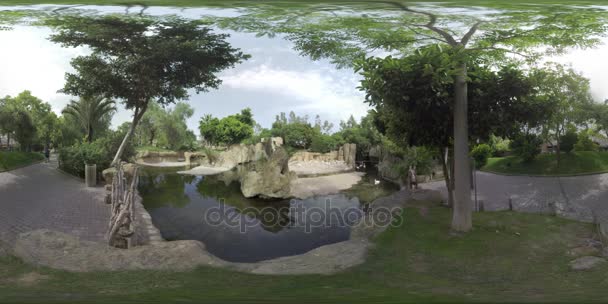360 Vr 视图到瓦伦西亚生态公园和火烈鸟，西班牙 — 图库视频影像