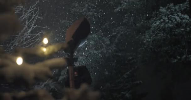 夜の公園で降雪 — ストック動画