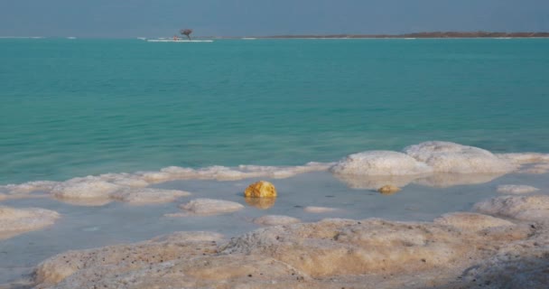 Skönhet av naturen med döda havet waterscape och salt beach — Stockvideo