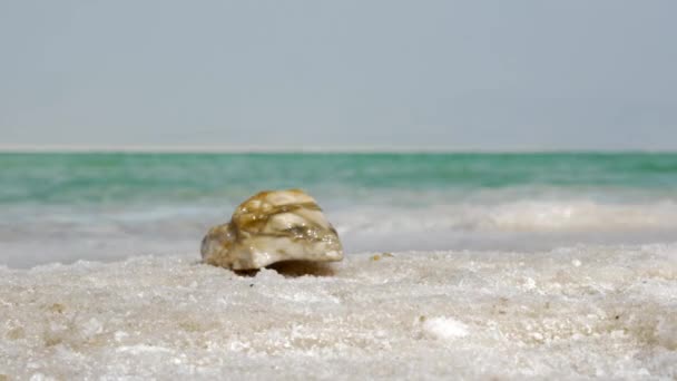 Φύση σκηνή με νεκρά θάλασσα και η παραλία του αλατιού — Αρχείο Βίντεο
