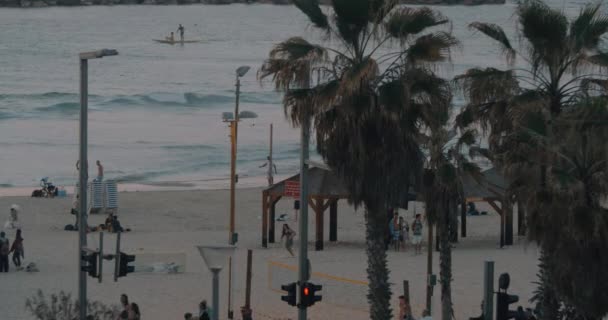 Οι άνθρωποι χαλάρωση για την παραλία του Τελ Αβίβ, Ισραήλ — Αρχείο Βίντεο