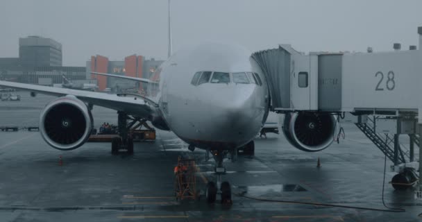 모스크바 세레 공항에서 탑승 전에 비행기를 서비스 — 비디오