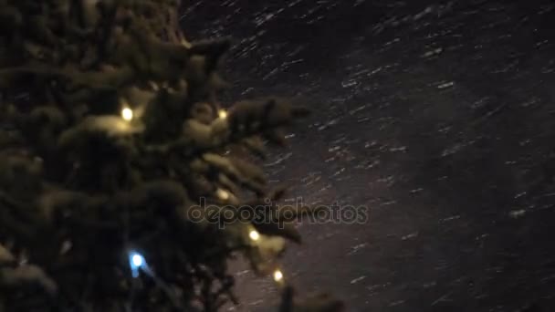 Kar fırtınası ve gece Noel ağacı — Stok video
