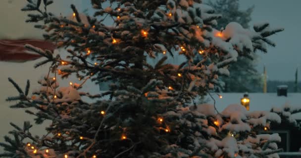Вечерний вид на елку с огнями — стоковое видео