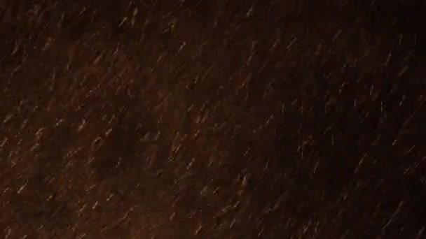 Tormenta de nieve nocturna con fuerte viento — Vídeo de stock