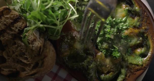 Repas avec plat d'escargot — Video
