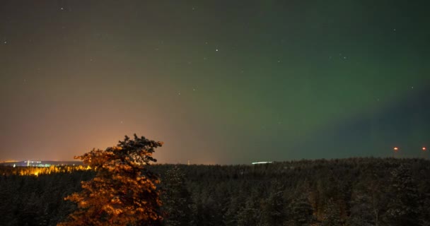 Timelapse de paisaje nocturno con luces del norte — Vídeos de Stock