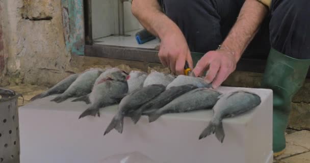 Чоловік прибирає рибу, щоб підготувати її до продажу — стокове відео