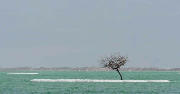 Döda havet waterscape med salta holmar — Stockvideo