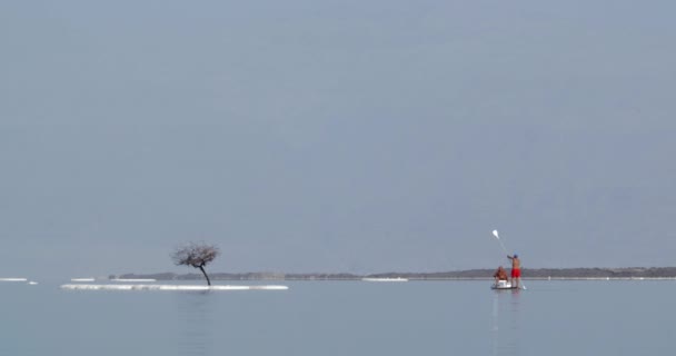 Wassertour auf dem Paddelbrett zu salzigen Inseln des toten Meeres — Stockvideo