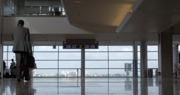 ベン ・ グリオン国際空港、テルアビブ、イスラエルのターミナルで — ストック動画