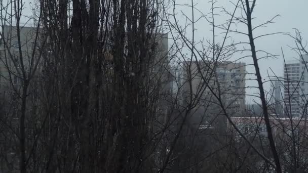 Ciudad de invierno con aves voladoras, casas y árboles desnudos — Vídeo de stock