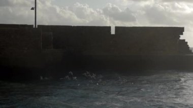 Waterscape deniz-martılar, dalgalı deniz ve Antik şehir duvar