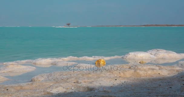 Νεκρά θάλασσα στον ορίζοντα σκηνή με αλμυρό παραλία και τα νησάκια, Ισραήλ — Αρχείο Βίντεο