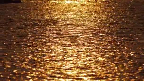Mörka vatten med golden sun path — Stockvideo
