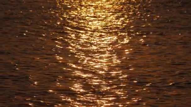 Golden chemin du soleil sur l'eau de mer sombre — Video
