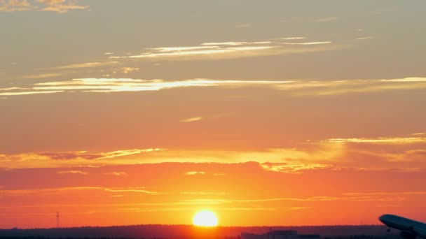 Avión despegando al atardecer dorado — Vídeos de Stock