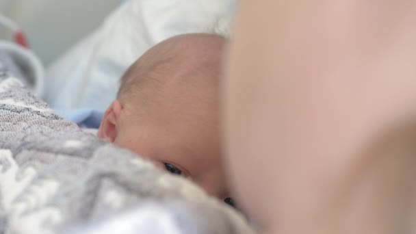 Pasgeboren baby met moeder liggen onder de deken — Stockvideo