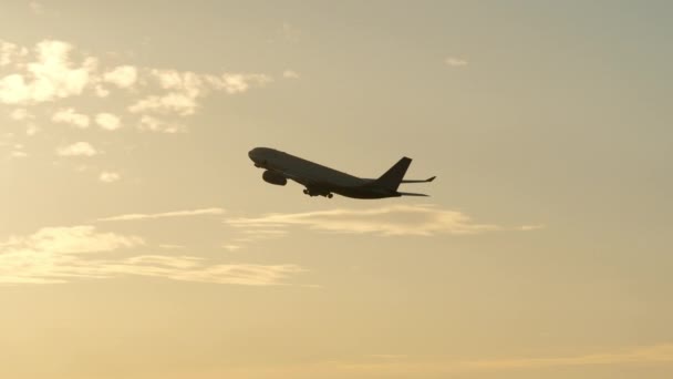 Flugzeug fliegt bei Sonnenuntergang — Stockvideo